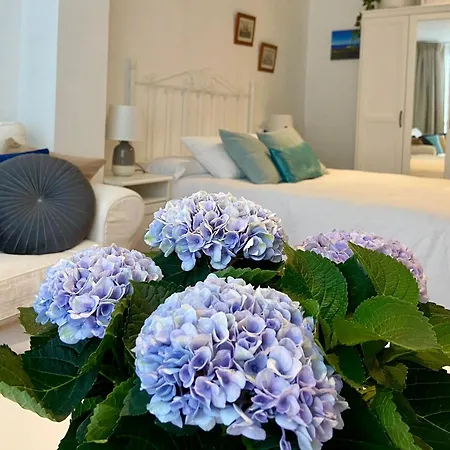 El Galeon Ribadeo