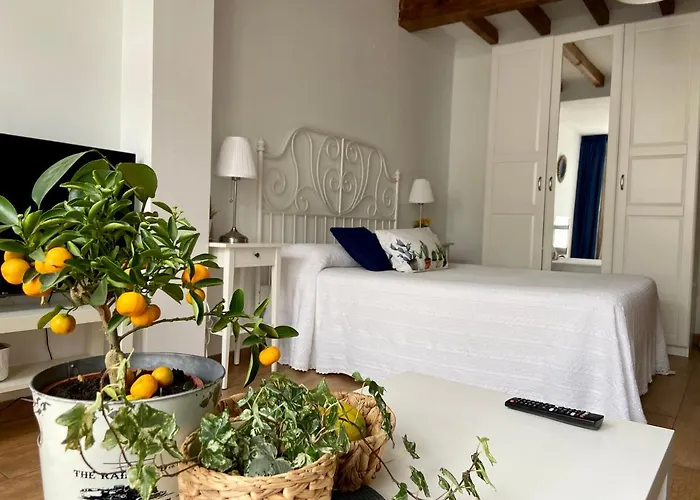 El Galeon * ריבאדאו