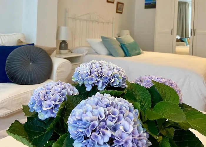 El Galeon ריבאדאו